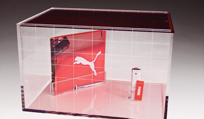 The Perfect Showcase