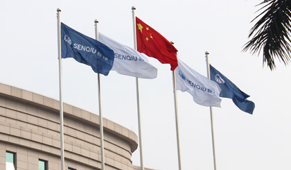 Company Flags