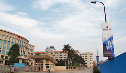 Vertical Banner outside Campus
